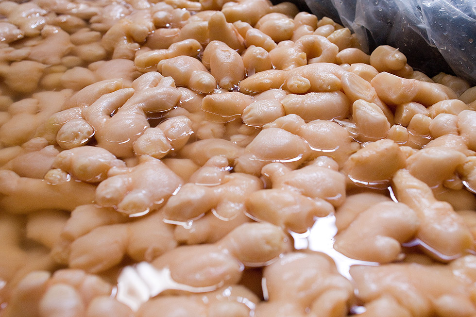 最高の生姜をご提供し続けるために