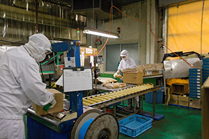 合理化された製造ラインが生み出す 低コストかつ抜群の製品提供力