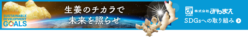 株式会社みやまえ　SDGsへの取り組み